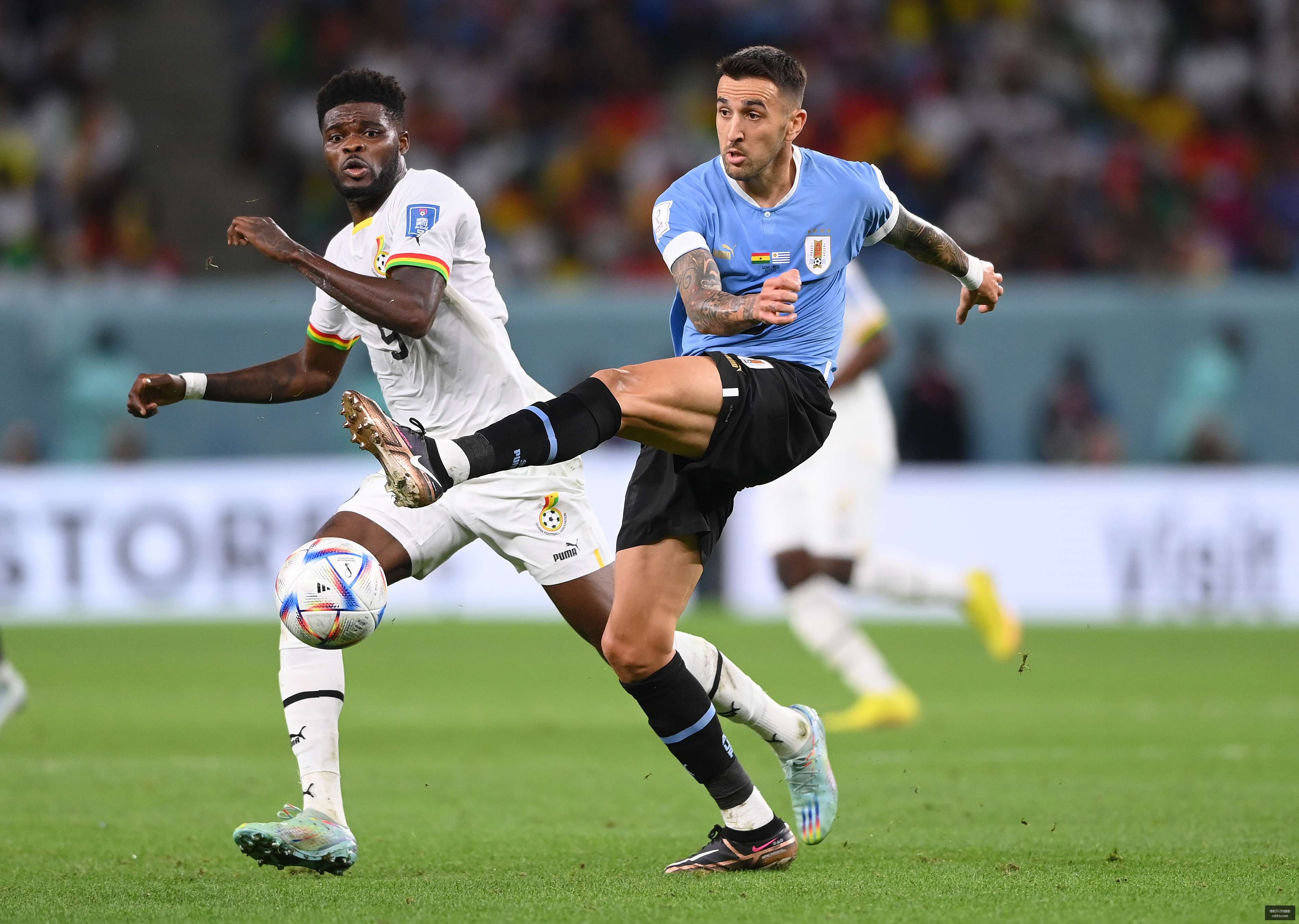 世界杯,买球平台体,育博彩关键,世界杯2026买球平台,体育博彩,线上买球,足球投注,2026世界杯预测,最佳买球网站